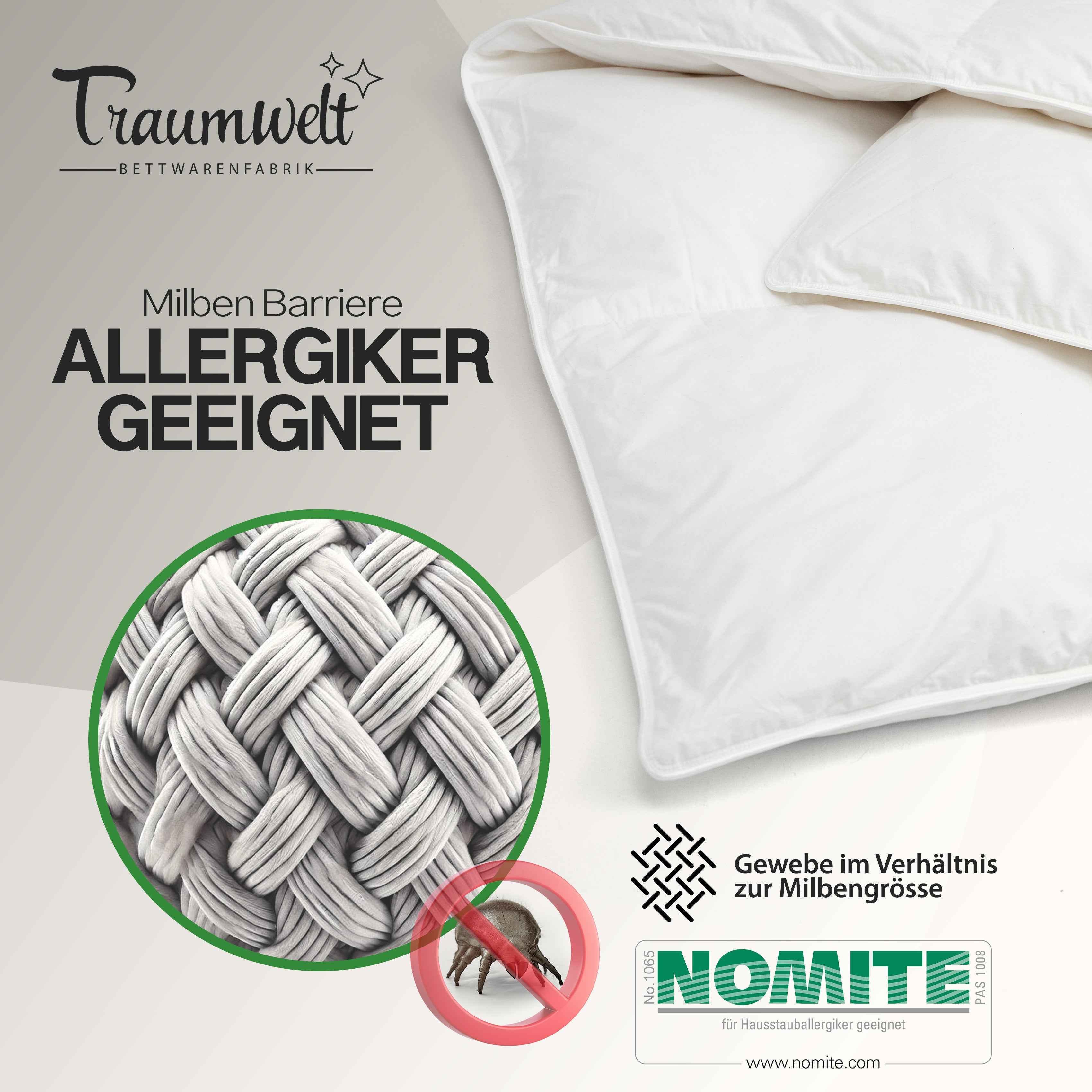Winter Daunendecke 100% Daunen