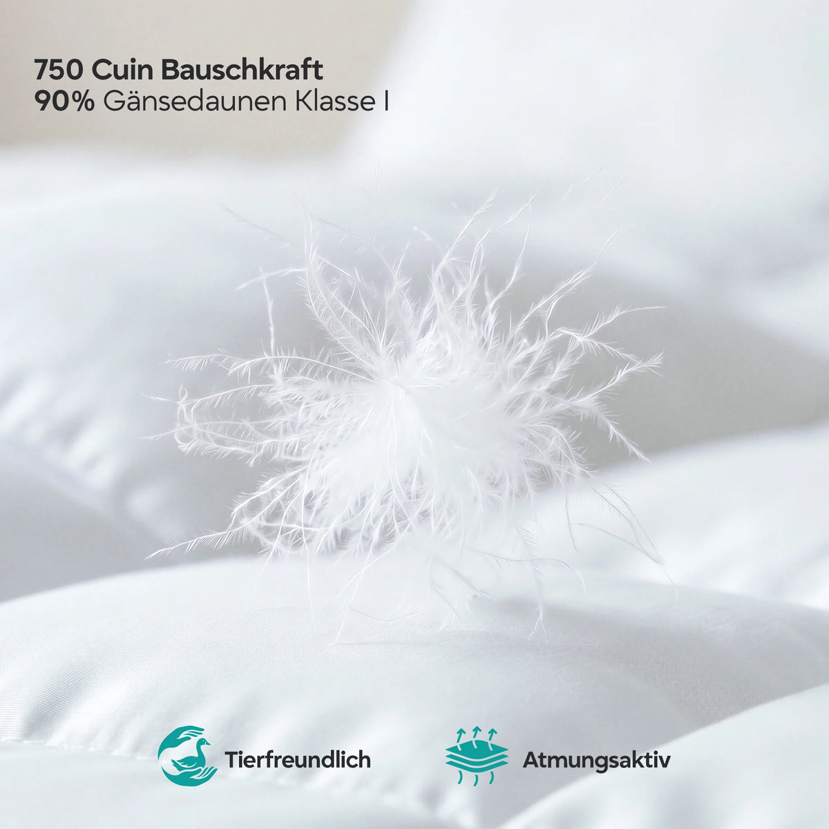 Ganzjahres Gänsedaunendecke 90% Gänsedaunen